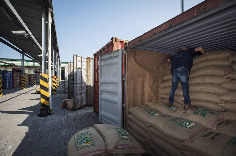 Funcionários inspecionam contêiner com sacas de café