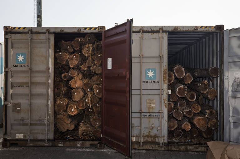 A pedido do auditor fiscal da receita, contêiner com toras de madeira foi aberto para averiguação