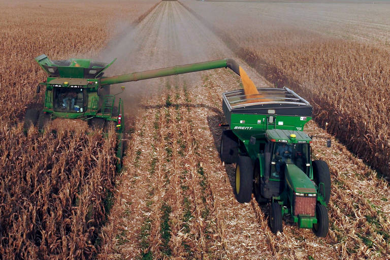 Colheita de milho nos EUA