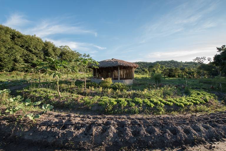 Modelo de cultivo orgânico em mandala já implantado na região do Projeto Caruanas, no Estado do Rio
