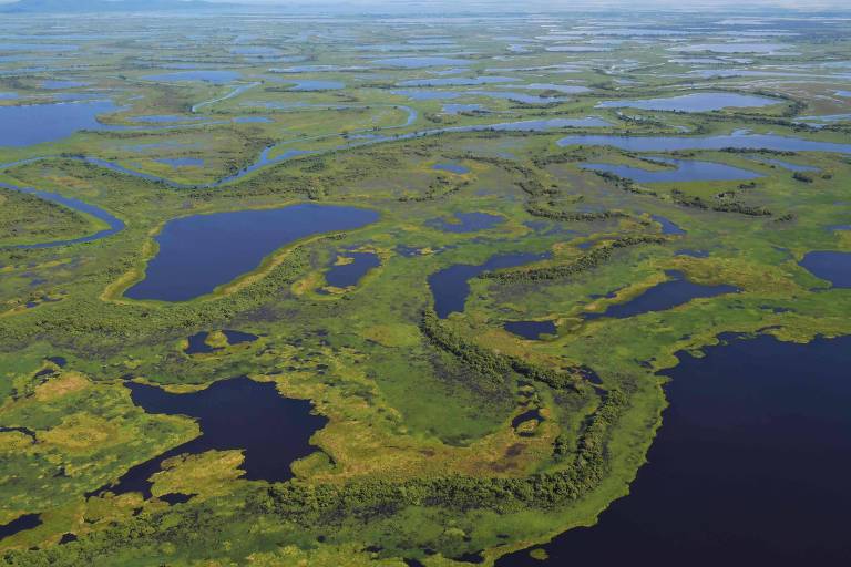 Pantanal, a maior planície alagável do mundo