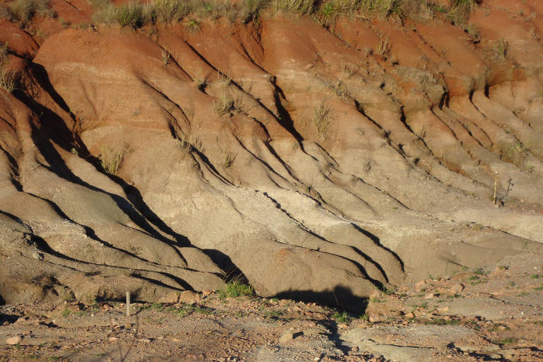 Fósseis curitibanos