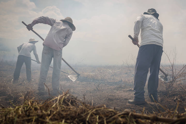 Cerrado: Agronegócio banca palestras de cético sobre mudança climática para ruralistas no Matopiba