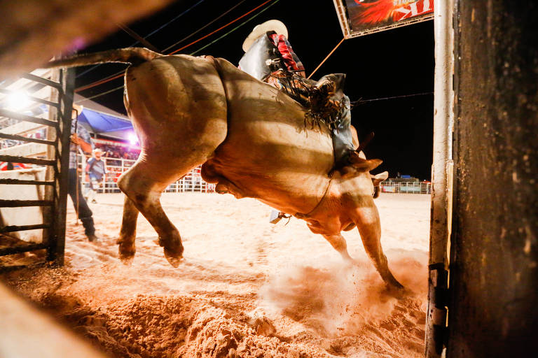 Iguatama Agora - Peão de rodeio morre pisoteado por boi durante