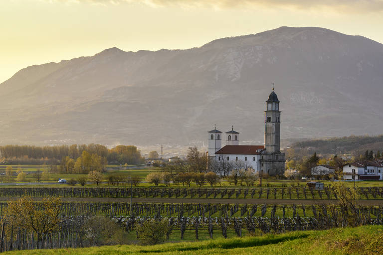 Vale Vipava, na Eslovênia, região que atrai degustadores de vinho