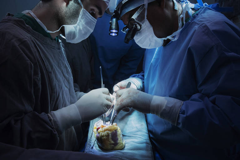 O cirurgião Domingos Lourenço (à direita) prepara o coração doado para ser transplantado em uma paciente no centro cirúrgico do Instituto do Coração, em São Paulo