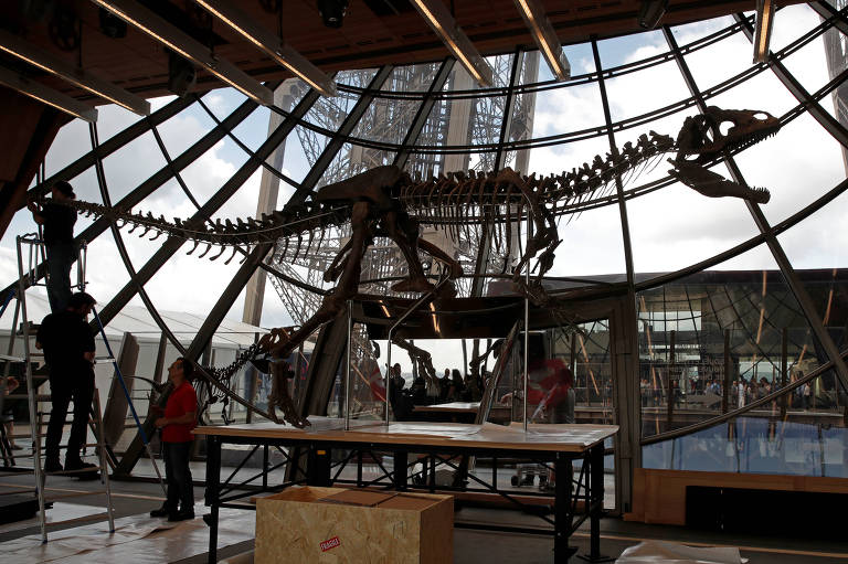 Esqueleto de dinossauro é exibido na torre Eiffel antes de leilão 