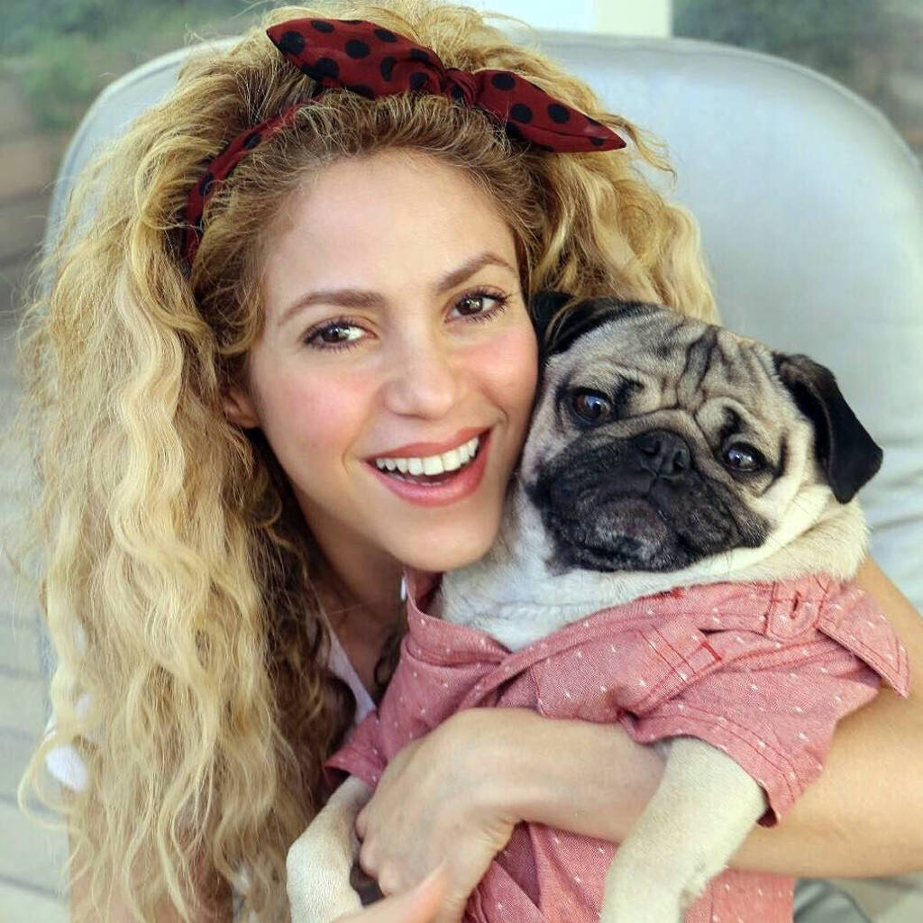 Shakira - Oficial - 18/01/2014 - F5 - Fotografia - Folha de S.Paulo