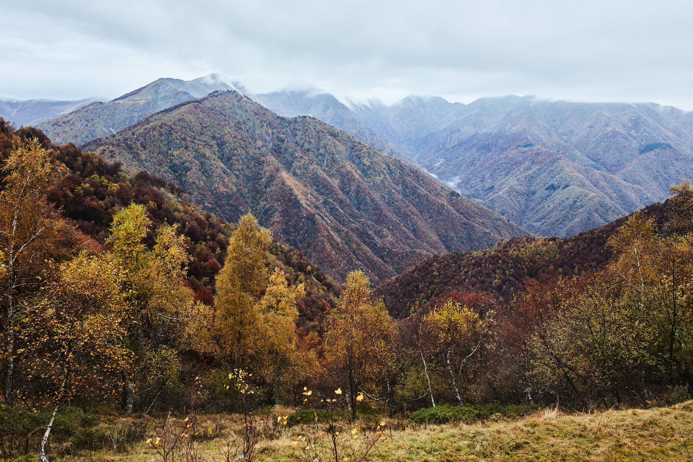 Quebra Cabeça 500 Peças Paisagem Nova Zelândia