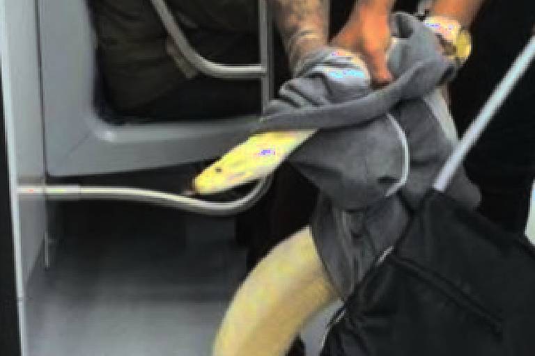Cobra viva transportada em trem da CPTM, em São Paulo