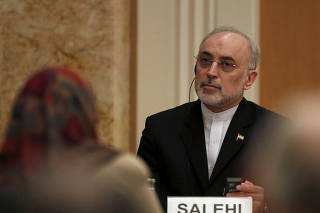 FILE PHOTO: Iran's head of the country's Atomic Energy Organization, Salehi, attends during a seminar at the Japan Institute of International Affairs in Tokyo