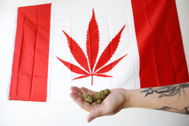 Maconha e a bandeira do Canadá que substitui a folha de bordo pela folha da cânabis 