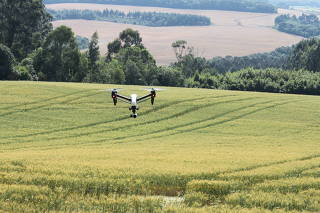 Drone utilizado no monitoramento de lavoura de trigo em Carambeí (PR)