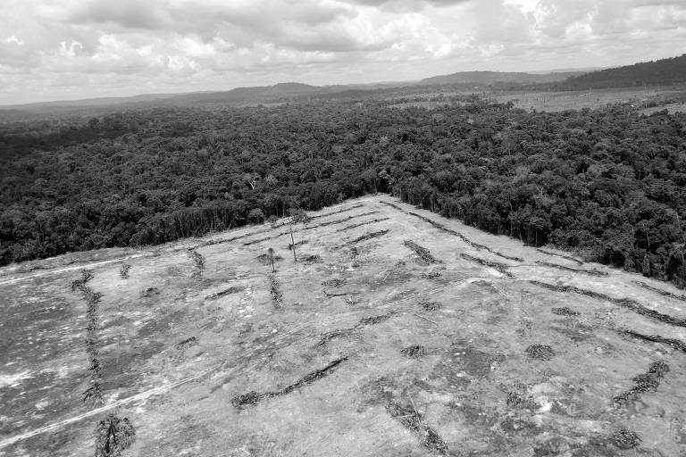 Área desmatada na cidade de Novo Progresso, no Pará 