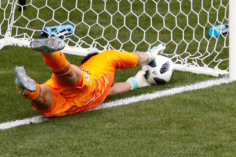 Goleiro da Copa do Mundo de Futebol em COQUINHOS