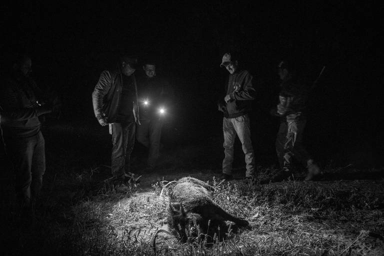 Grupo de caçadores diante de javali abatido em Monte Azul Paulista (SP)