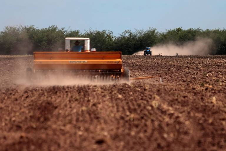 Argentina quer modernizar sementes para competir com Brasil e EUA