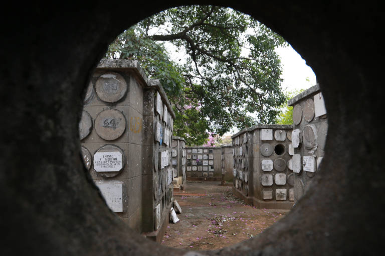 Moradores de Paracambi denunciam reuso de covas em Cemitério