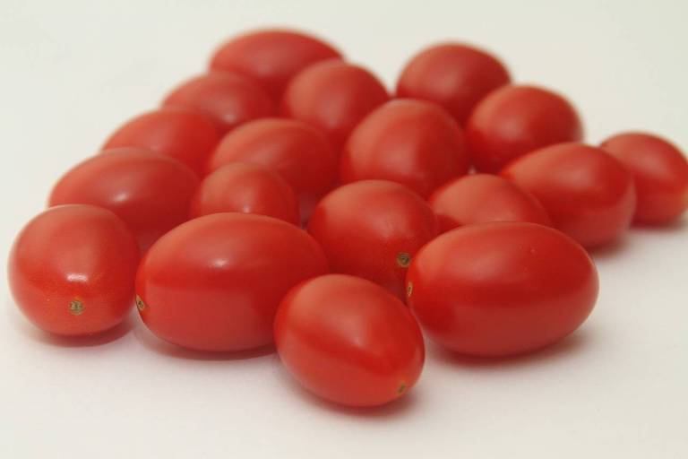 punhado de tomate-cereja vermelhos sobre fundo branco