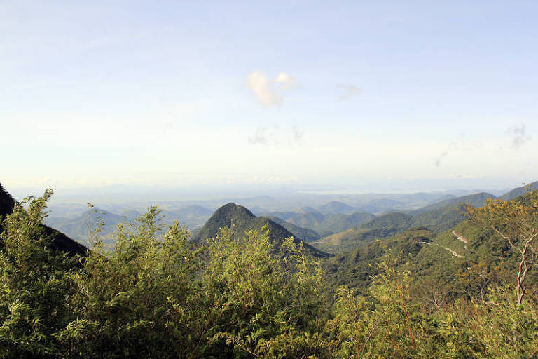 Vista de região da Mata Atlântica na serra carioca