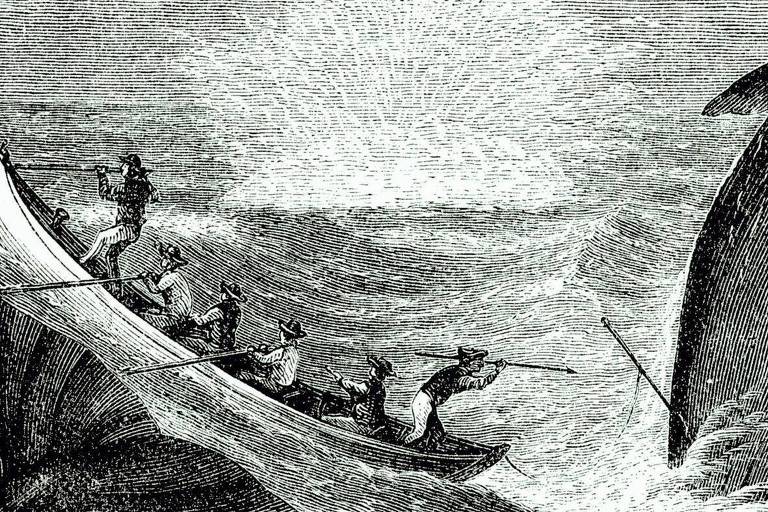 Imagem do ataque a baleia 'Moby Dick' que ilustra edição do livro da Cosac Naify