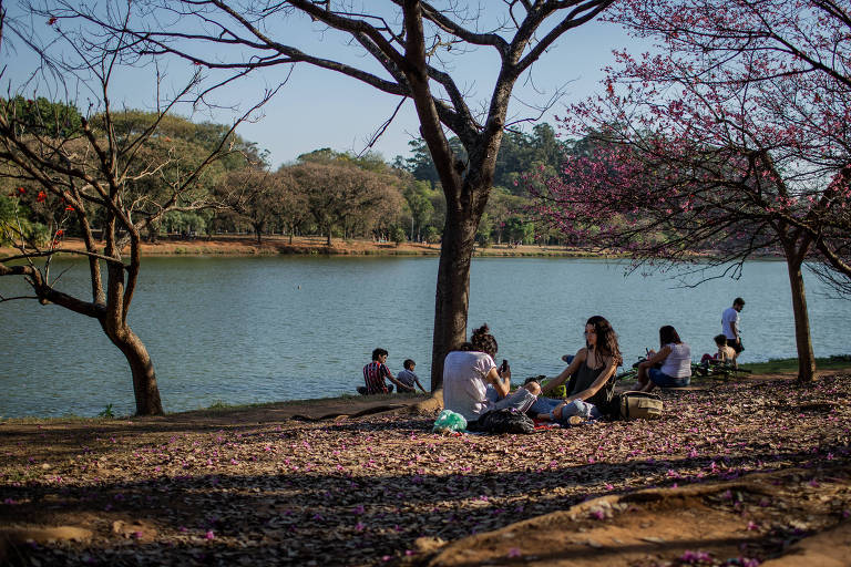 Frequentadores sentam à beira do lago no parque Ibirapuera