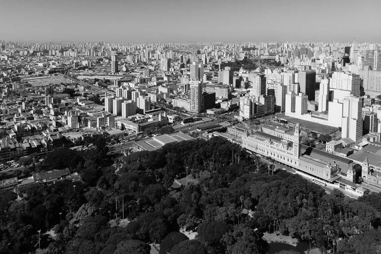 Parque Jardim da Luz, no centro paulistano