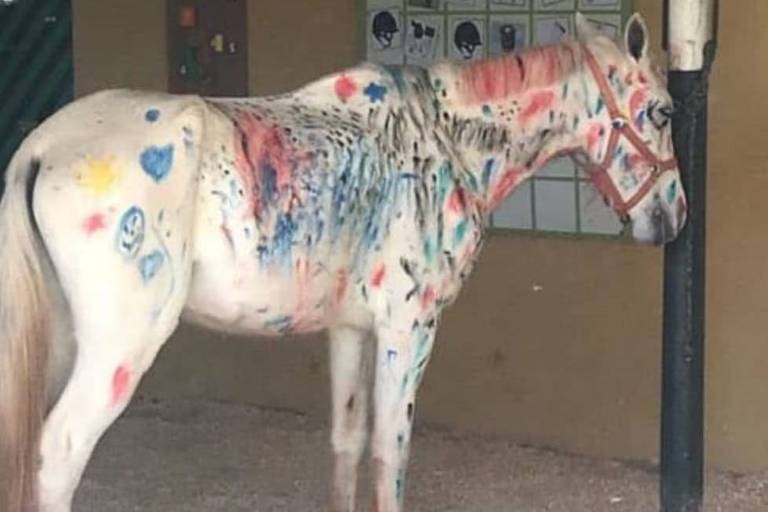 Cavalo branco com desenhos coloridos