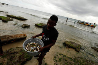 A subsistence fisherman carries his catch in Pemba