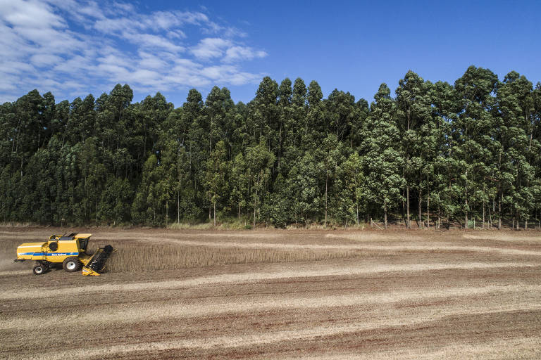 Trator na colheita de soja em uma fazenda no interior do Paraná