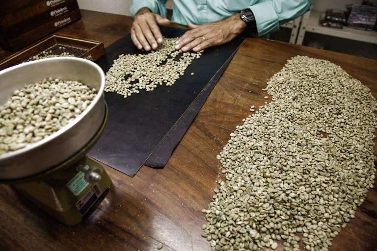 Café é separado para degustação