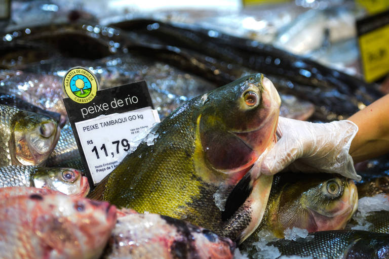  Pescado à venda numa das lojas da rede; monitoramento começa em 2019