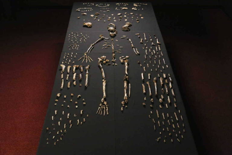 Imagem do "Homo naledi", espécie de hominídeo descrita pela primeira vez em 2015
