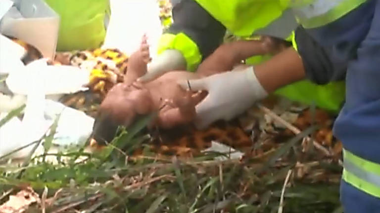 Policiais rodoviários socorrem a recém-nascida após o acidente