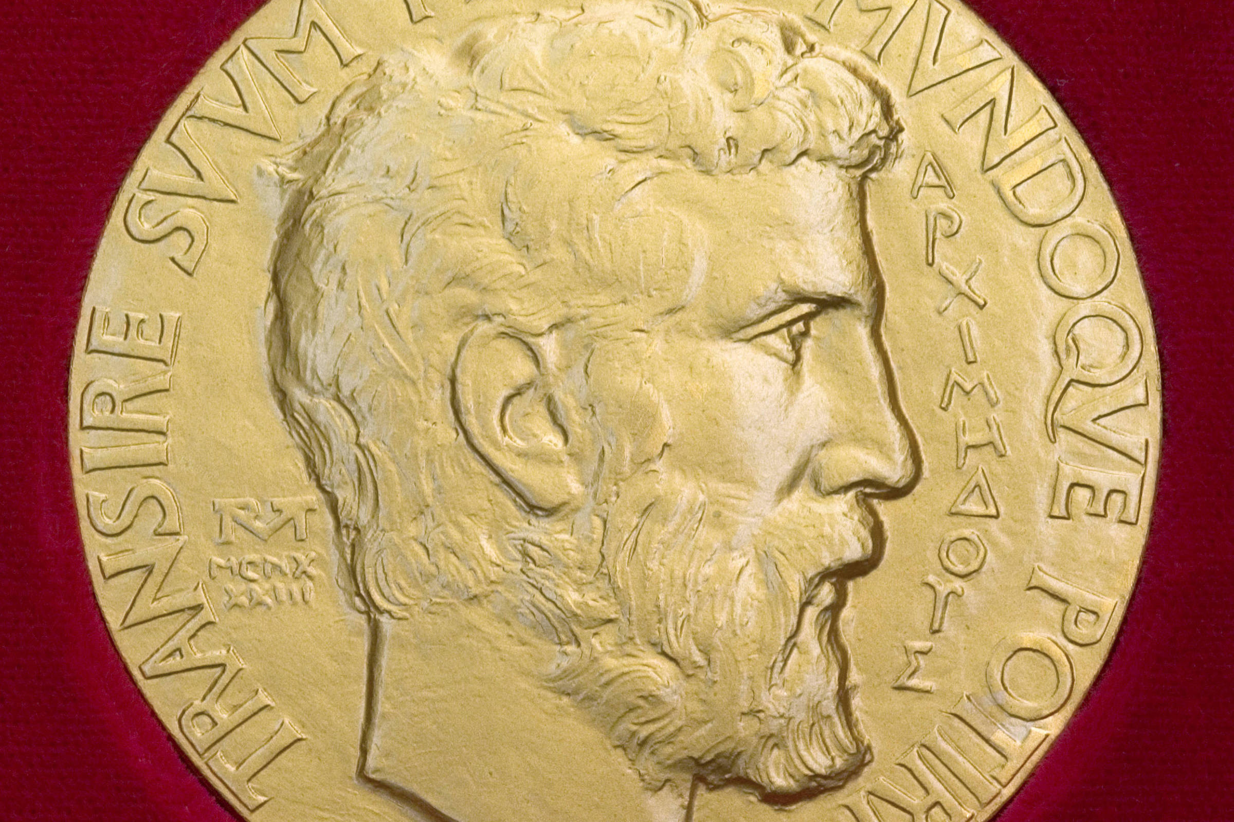 History of the Fields Medal, the highest honor in mathematics – 12/13/2022 – Marcelo Viana