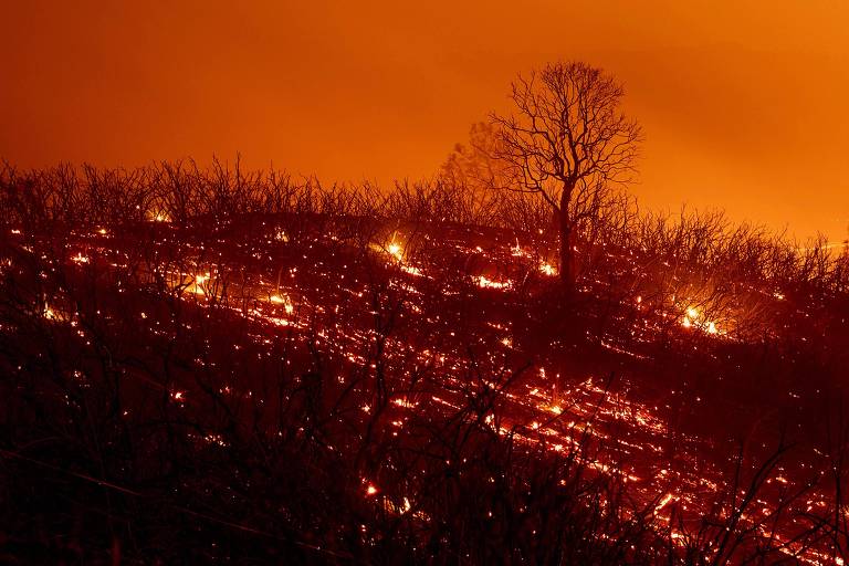 Incêndio no norte da Califórnia vira o maior da história do estado