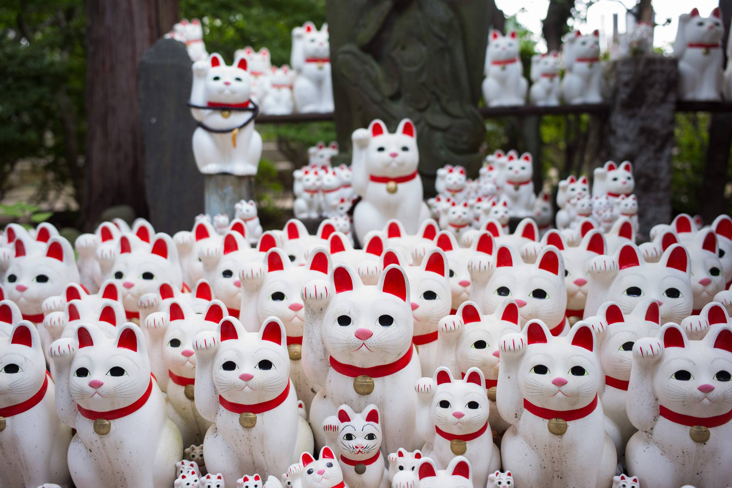 Em Tóquio, templo de gatos da sorte atrai instagramers de todo