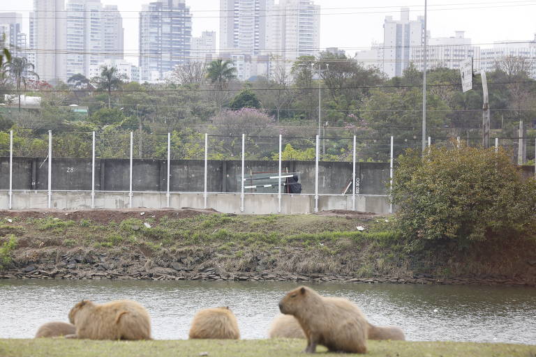 Parte do muro de vidro da USP onde placas não serão instaladas, segundo empresa, devido a esgoto subterrâneo; local também tem peça reserva escorada ao ar livre
 