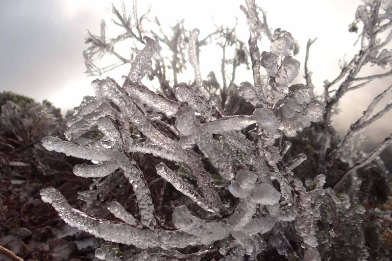 Após neve, vegetação amanhece congelada em Urupema (SC), nesta sexta-feira (10)