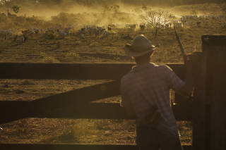 Vaqueiro observa gado em fazenda
