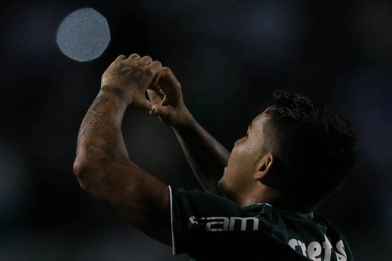Dudu comemora gol do Palmeiras no Pacaembu