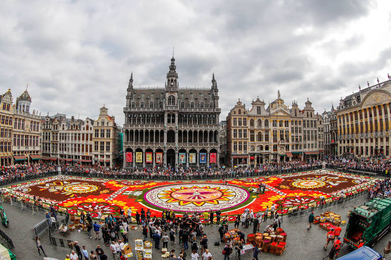 Jardineiros vencem calor e cobrem praça com 500 mil flores em Bruxelas