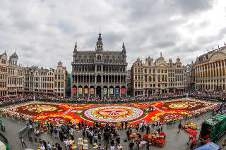 A 1,800 square meters flower carpet is seen at Brussels' Grand Place