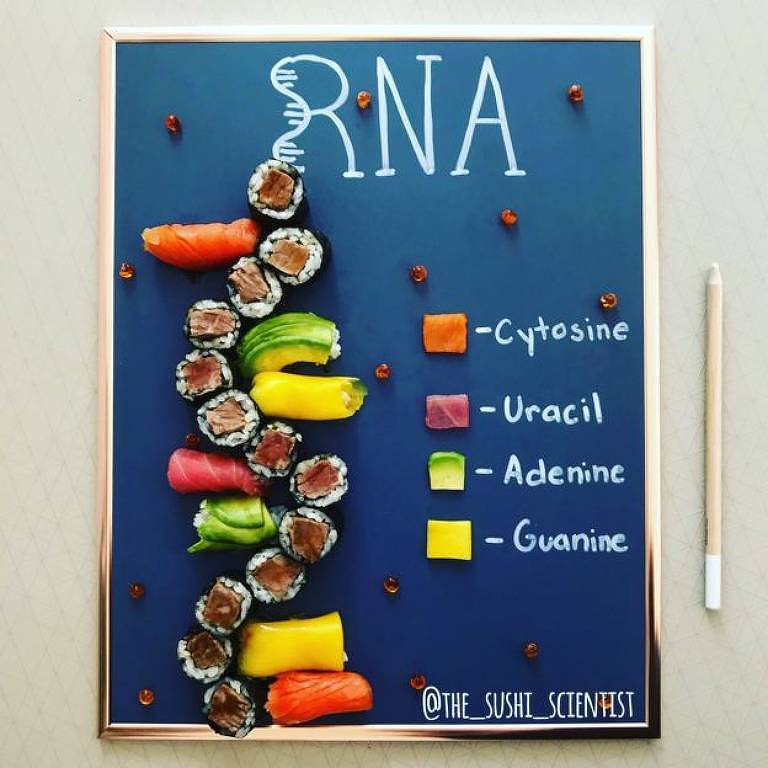 As proteínas que formam o RNA - citosina, uracilo, adenina e guanina - são representadas pelo salmão, pelo atum, pelo abacate e pela manga