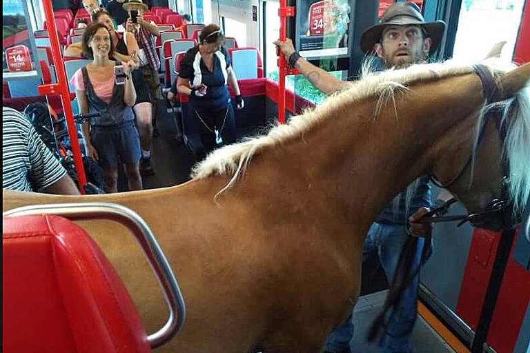 Jovem com cavalo tenta embarcar em trem na Áustria