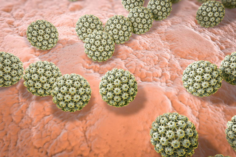 Papilomavírus humano na superfície da pele ou membrana mucosa. Algumas cepas infectam os órgãos genitais e podem causar câncer do colo do útero