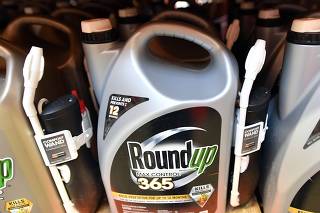Jury hits Monsanto with $285 mn damages in Roundup trial