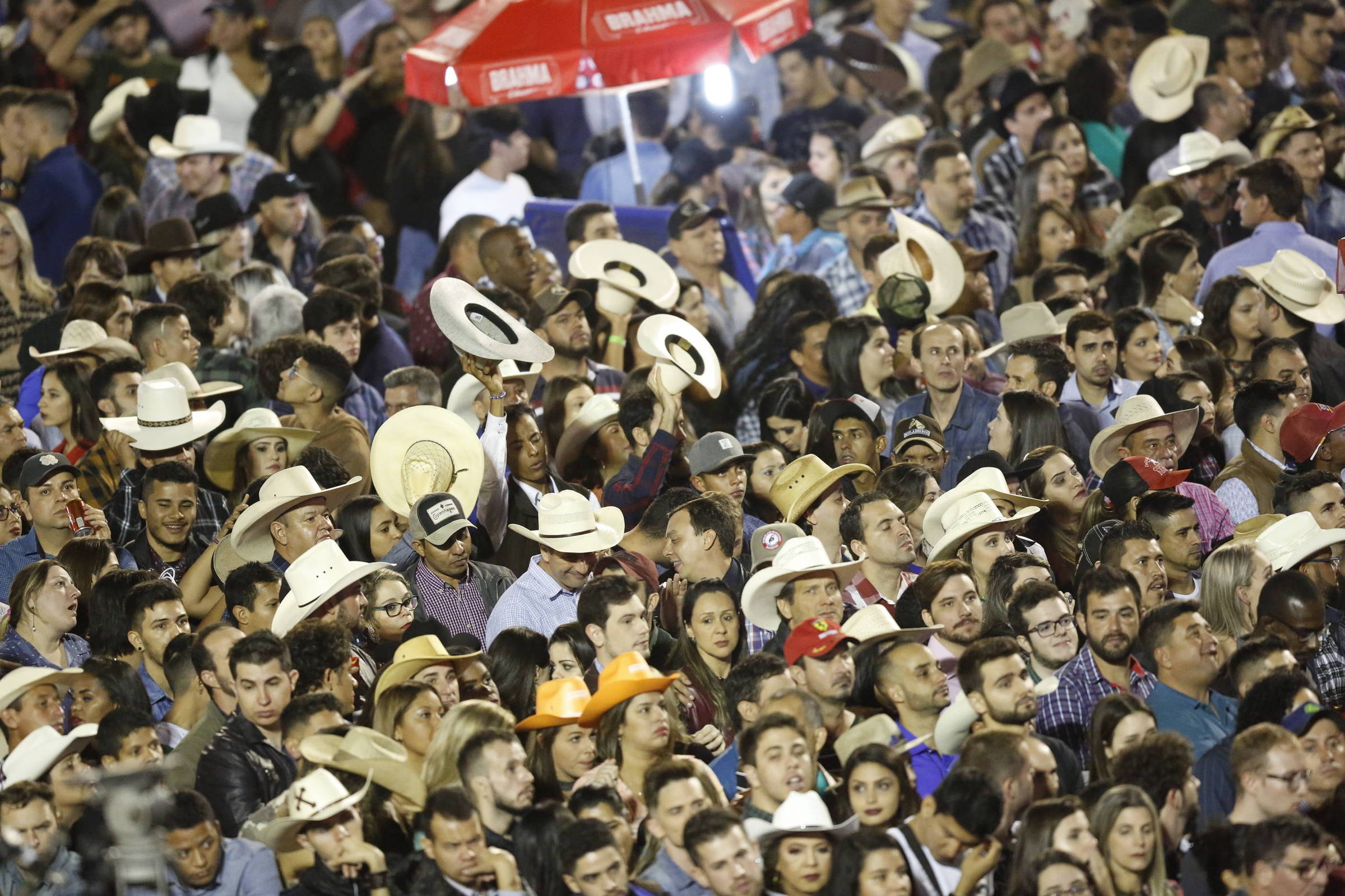 Arena de rodeio também é lugar de mulher - Notícias