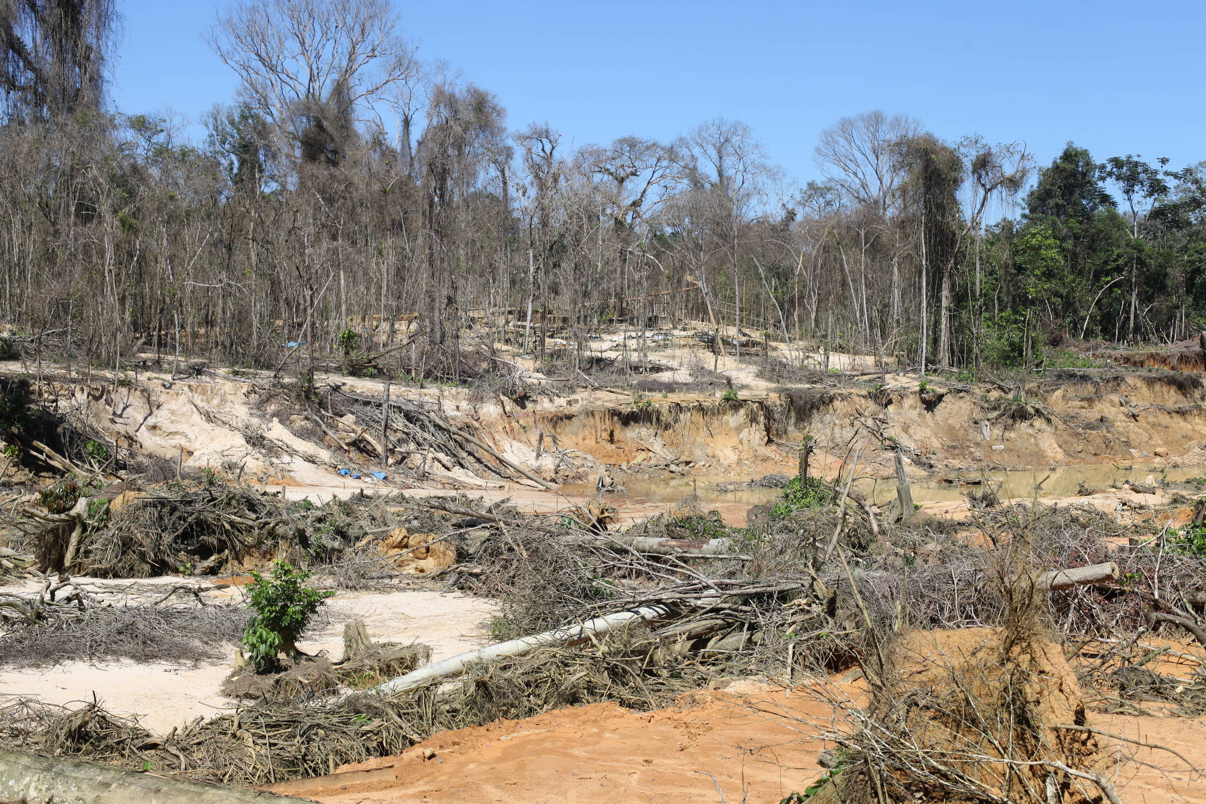 Invasão em terra indígena chega a 20 mil garimpeiros, diz líder ianomâmi