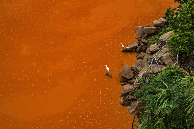 Rio Doce, que vai de Minas Gerais ao Espírito Santo, foi tomado pela lama após o rompimento de uma barragem de rejeito da empresa Samarco